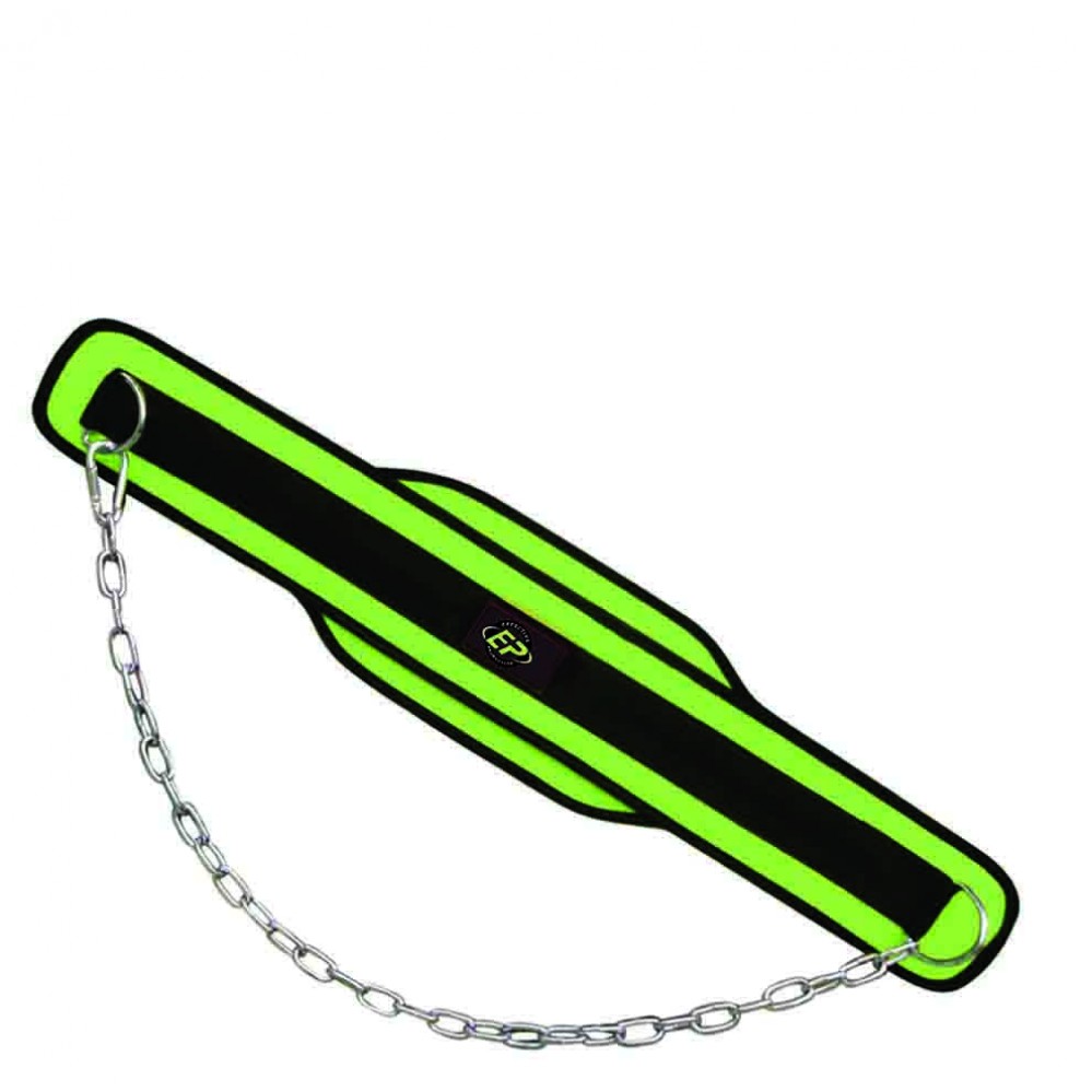 DIPPING BELT